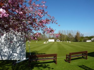 20140419 504 Nunholm - spring x1024