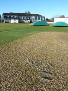 Morning ice on the wicket